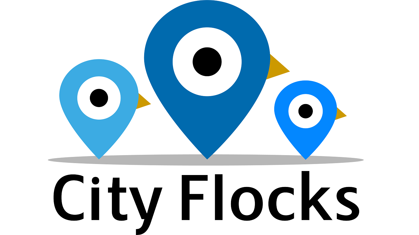 City Flocks